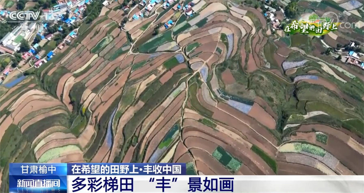 
天津肿瘤医院黄牛代挂号电话票贩子号贩子网上预约挂号,住院检查加快,在希望的田野上·丰收中国 | 秋色绚烂大地 丰收喜悦人间