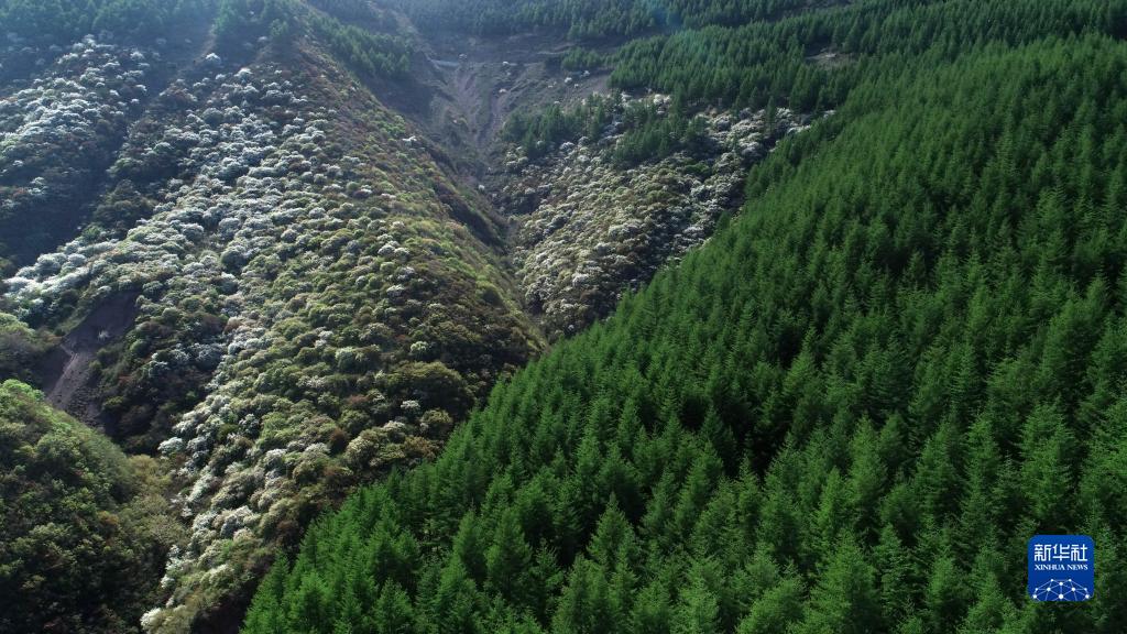 
北京中医院黄牛代挂号电话票贩子号贩子网上预约挂号,住院检查加快,喜迎二十大丨宁夏：让塞上江南更美好