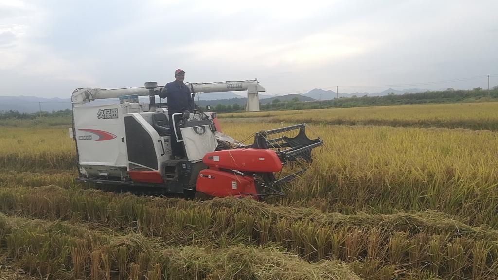 
广州儿童医院黄牛代挂号电话票贩子号贩子网上预约挂号,住院检查加快,中国农民丰收节丨良法多打粮 良种种好粮——安徽秋收一线见闻