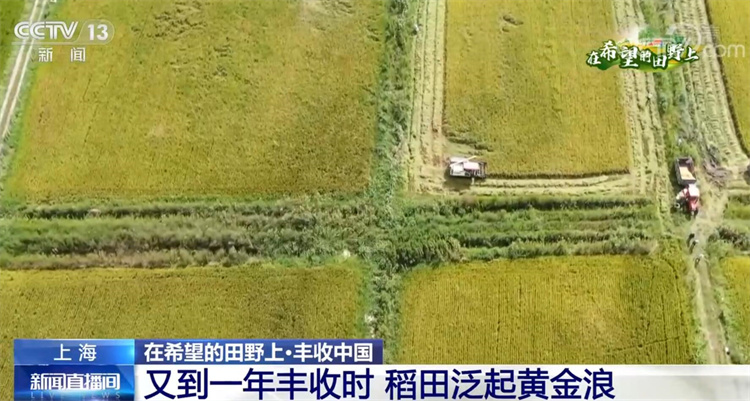
天津肿瘤医院黄牛代挂号电话票贩子号贩子网上预约挂号,住院检查加快,在希望的田野上·丰收中国 | 秋色绚烂大地 丰收喜悦人间