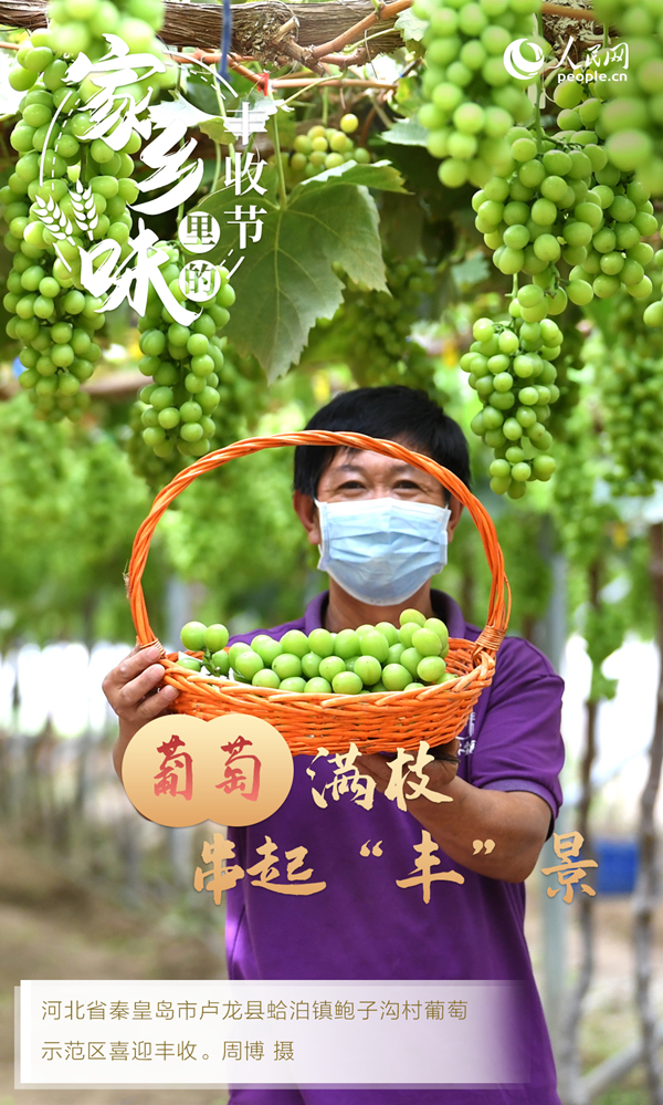 
广东省人民医院黄牛代挂号电话票贩子号贩子网上预约挂号,住院检查加快,“秋实”阵阵香 “丰景”美如画
