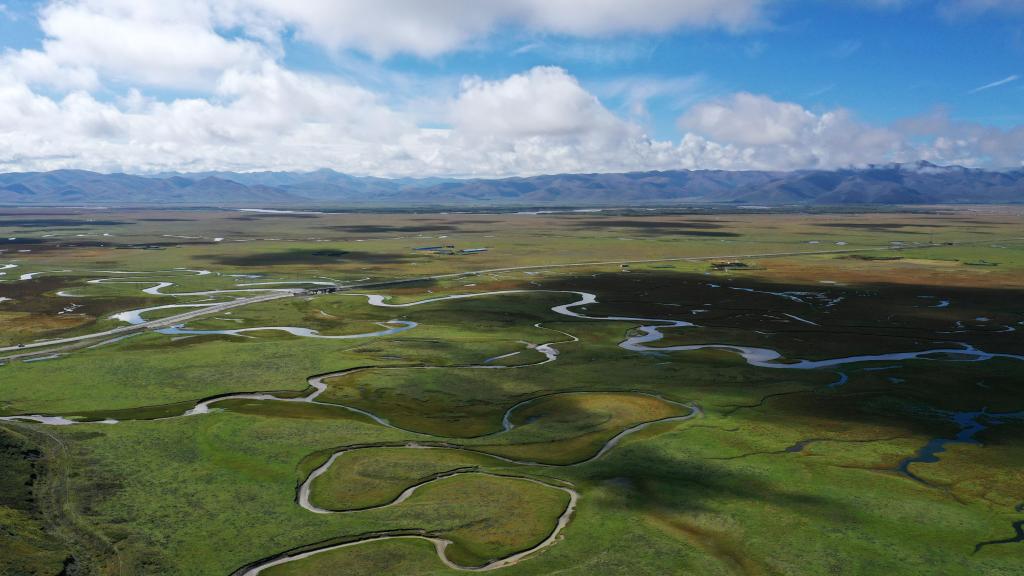 
北京北大口腔医院黄牛代挂号电话票贩子号贩子网上预约挂号,住院检查加快,新华全媒+丨秋日“黄河蓄水池”玛曲湿地 每次定格都美若壁纸