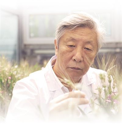 
广州口腔医院黄牛代挂号电话票贩子号贩子网上预约挂号,住院检查加快,一头白发换来麦地金黄