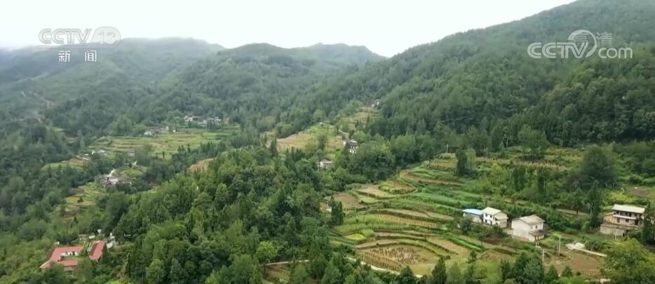 
广州各大医院黄牛代挂号电话票贩子号贩子网上预约挂号,住院检查加快,在希望的田野上 | 6.4万蜂群进入取蜜期 “甜蜜事业”助力乡村振兴