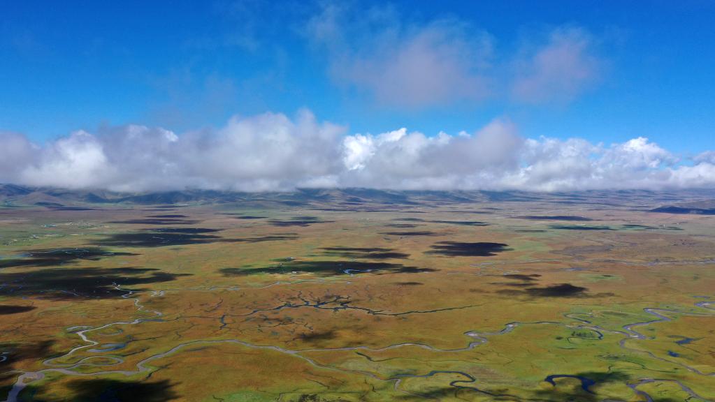 
北京北大口腔医院黄牛代挂号电话票贩子号贩子网上预约挂号,住院检查加快,新华全媒+丨秋日“黄河蓄水池”玛曲湿地 每次定格都美若壁纸