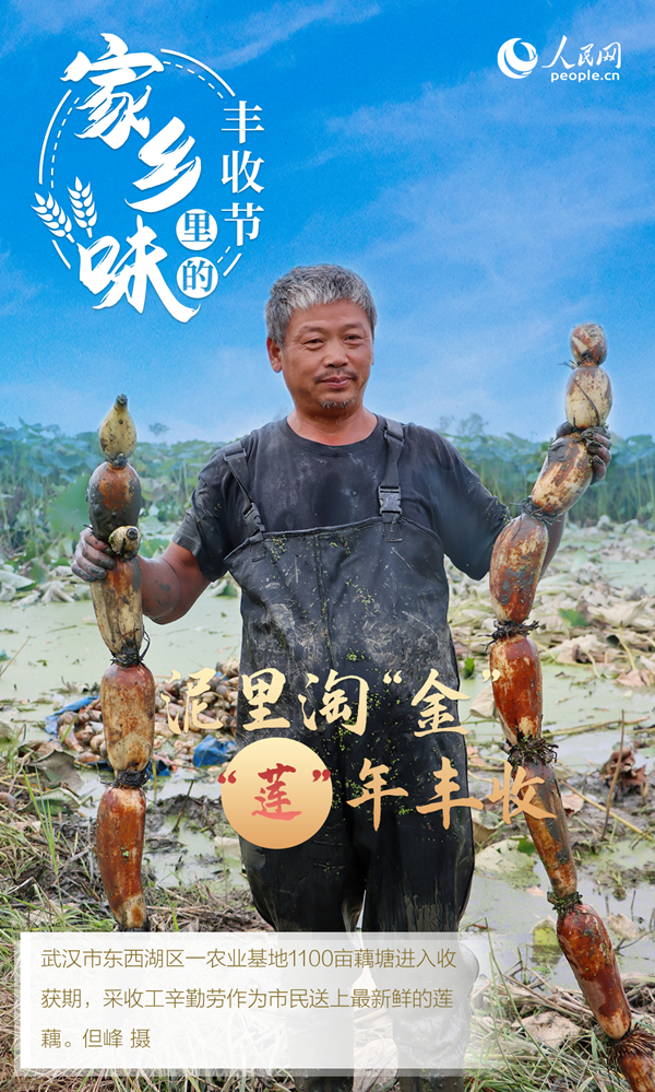 
广东省人民医院黄牛代挂号电话票贩子号贩子网上预约挂号,住院检查加快,“秋实”阵阵香 “丰景”美如画