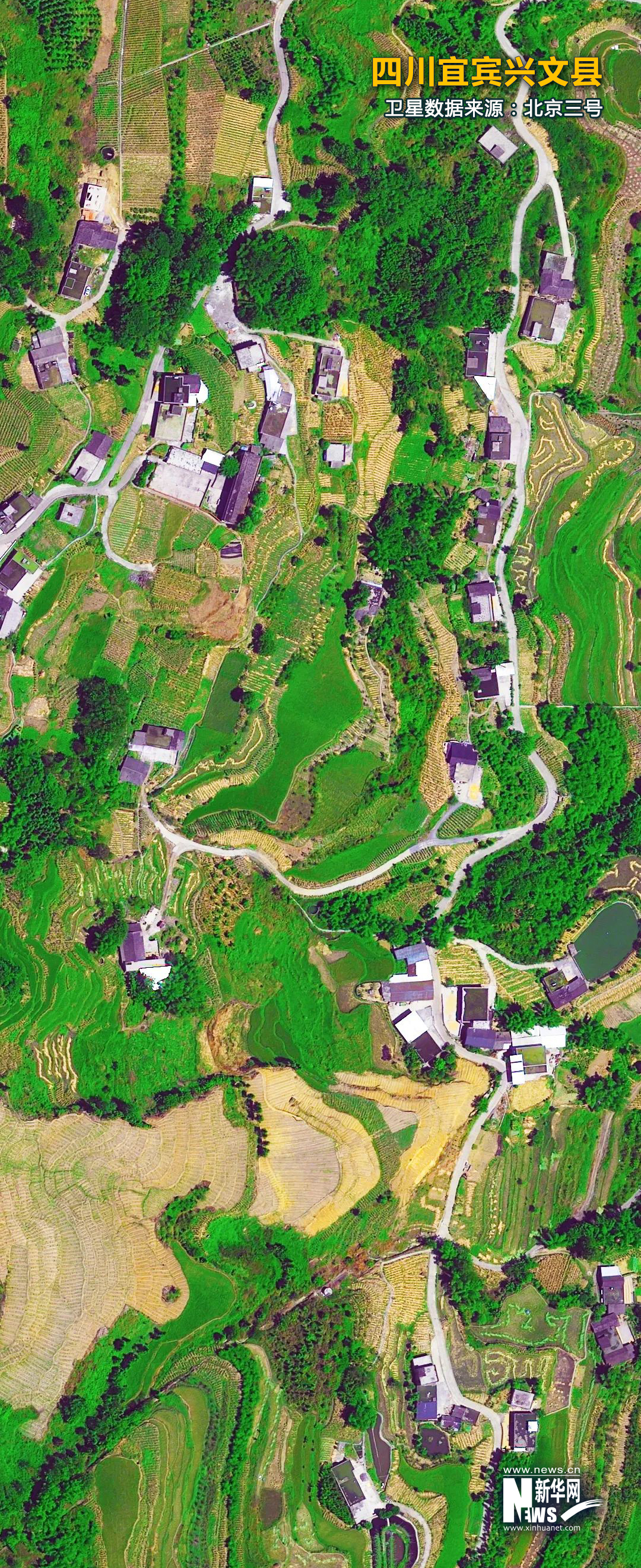 
北京世纪坛医院黄牛代挂号电话票贩子号贩子网上预约挂号,住院检查加快,卫星瞰田｜秋日大地美如画