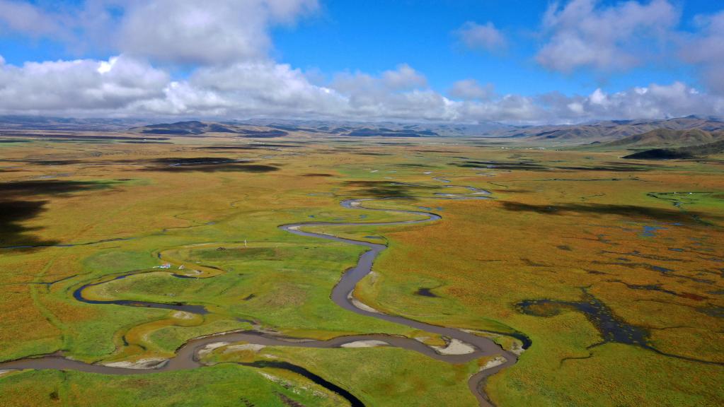 
北京北大口腔医院黄牛代挂号电话票贩子号贩子网上预约挂号,住院检查加快,新华全媒+丨秋日“黄河蓄水池”玛曲湿地 每次定格都美若壁纸