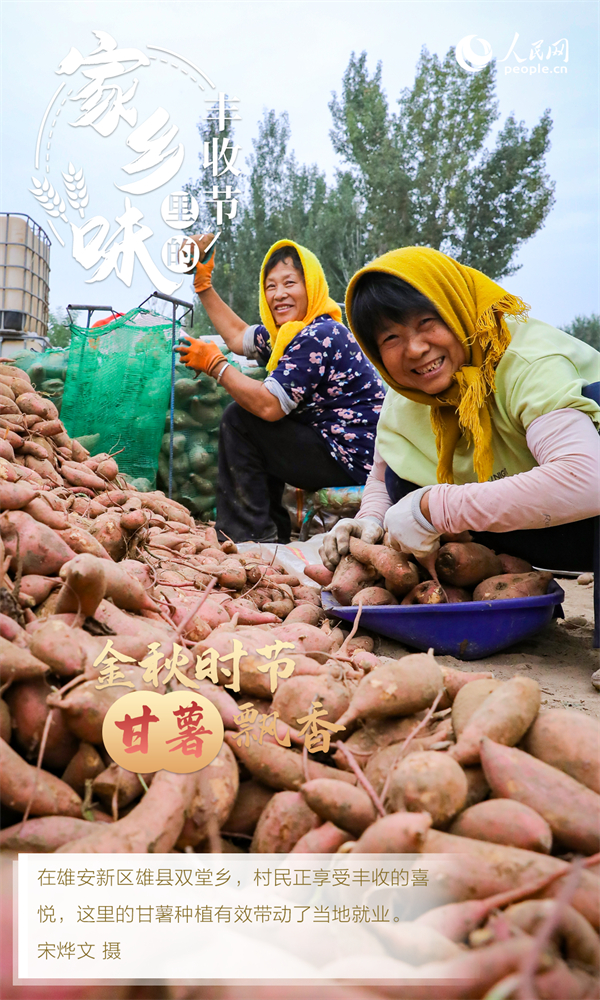 
广东省人民医院黄牛代挂号电话票贩子号贩子网上预约挂号,住院检查加快,“秋实”阵阵香 “丰景”美如画