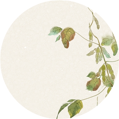 
南京金陵医院黄牛代挂号电话票贩子号贩子网上预约挂号,住院检查加快,每一片大豆产区都去过