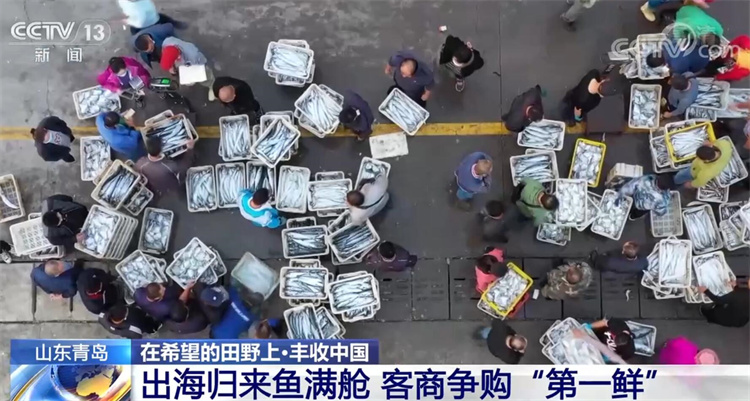 
天津肿瘤医院黄牛代挂号电话票贩子号贩子网上预约挂号,住院检查加快,在希望的田野上·丰收中国 | 秋色绚烂大地 丰收喜悦人间