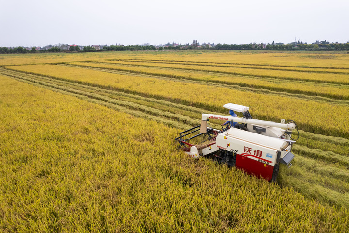 
天津肿瘤医院黄牛代挂号电话票贩子号贩子网上预约挂号,住院检查加快,新华视点：从“会种田”到“慧种田”——来自田间一线的观察