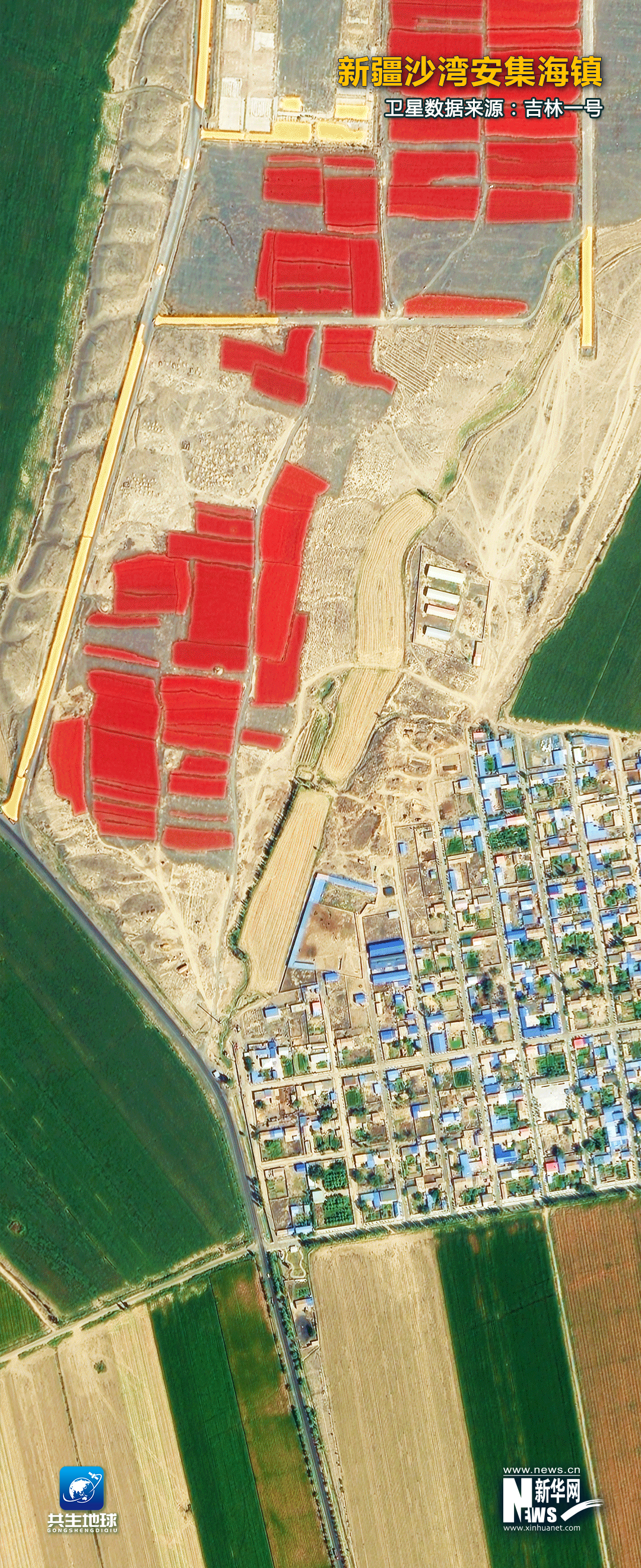 
北京世纪坛医院黄牛代挂号电话票贩子号贩子网上预约挂号,住院检查加快,卫星瞰田｜秋日大地美如画