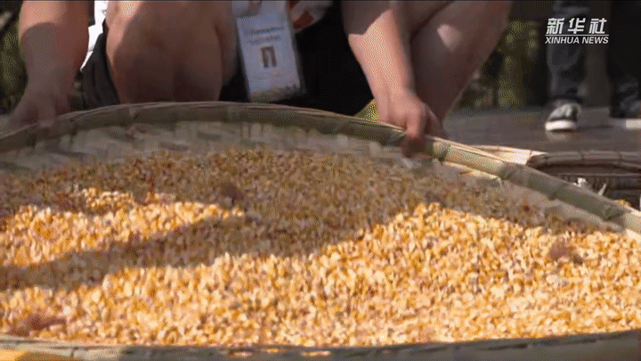 
南京儿童医院黄牛代挂号电话票贩子号贩子网上预约挂号,住院检查加快,追光丨丰收时节 中国农民热爱哪些体育运动？