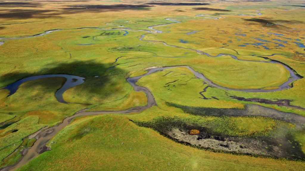 
北京北大口腔医院黄牛代挂号电话票贩子号贩子网上预约挂号,住院检查加快,新华全媒+丨秋日“黄河蓄水池”玛曲湿地 每次定格都美若壁纸