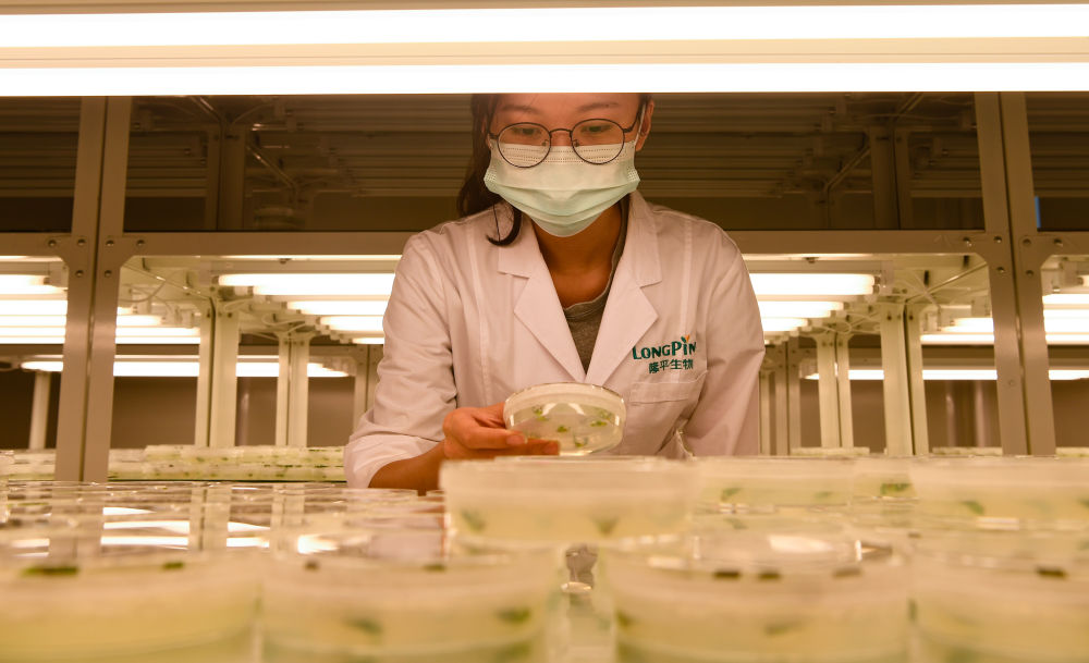 
北大口腔医院黄牛代挂号电话票贩子号贩子网上预约挂号,住院检查加快,镜观中国｜科技赋能中国农民的丰收年