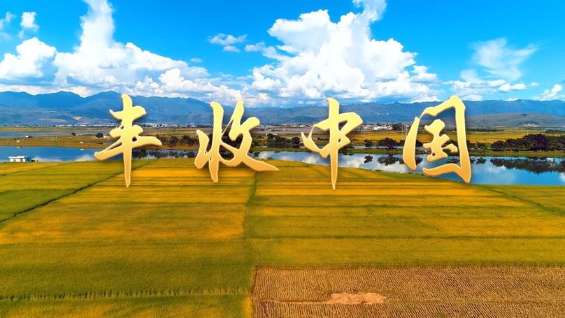 
二龙路肛肠医院黄牛代挂号电话票贩子号贩子网上预约挂号,住院检查加快,微视频｜丰收中国