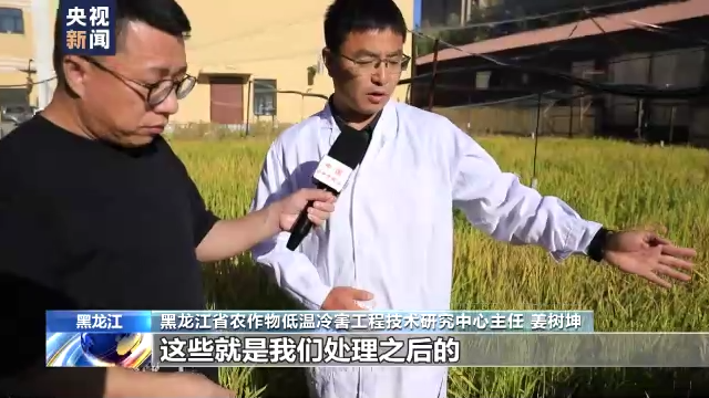 
北京大学第一医院黄牛代挂号电话票贩子号贩子网上预约挂号,住院检查加快,在希望的田野上丨在黑土地上练就“不怕冷”的水稻品种