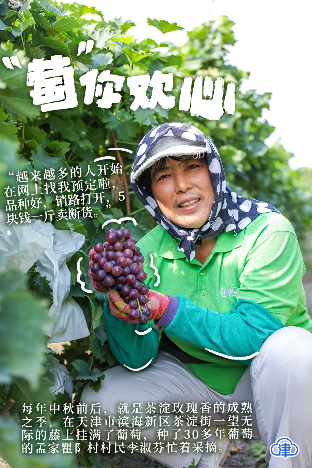 
浙江大学儿童医院黄牛代挂号电话票贩子号贩子网上预约挂号,住院检查加快,【津云海报】笑脸庆丰收 一片好“丰”景