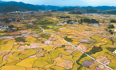 
南京市中医院黄牛代挂号电话票贩子号贩子网上预约挂号,住院检查加快,秋季游绚丽多彩