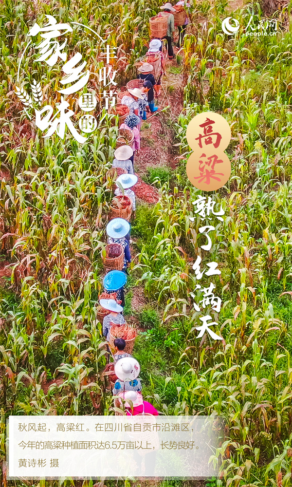 
广东省人民医院黄牛代挂号电话票贩子号贩子网上预约挂号,住院检查加快,“秋实”阵阵香 “丰景”美如画