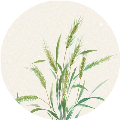 
广州口腔医院黄牛代挂号电话票贩子号贩子网上预约挂号,住院检查加快,一头白发换来麦地金黄