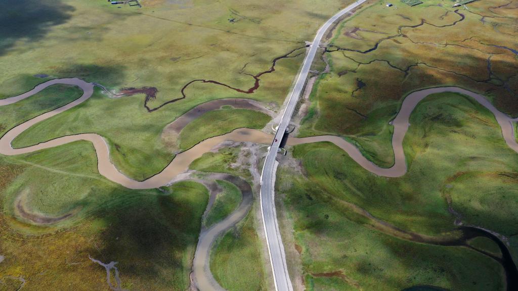 
北京北大口腔医院黄牛代挂号电话票贩子号贩子网上预约挂号,住院检查加快,新华全媒+丨秋日“黄河蓄水池”玛曲湿地 每次定格都美若壁纸