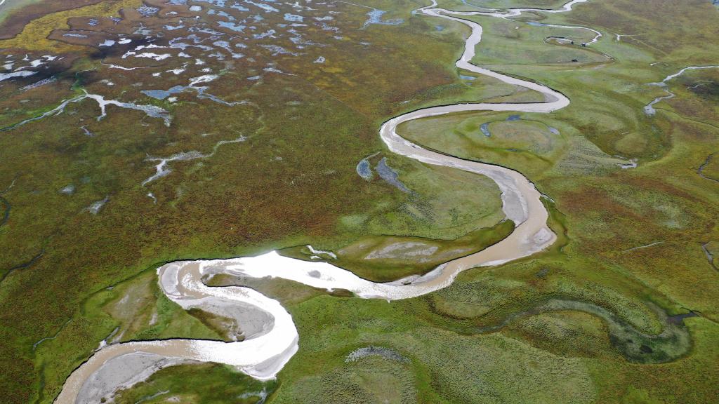 
北京北大口腔医院黄牛代挂号电话票贩子号贩子网上预约挂号,住院检查加快,新华全媒+丨秋日“黄河蓄水池”玛曲湿地 每次定格都美若壁纸