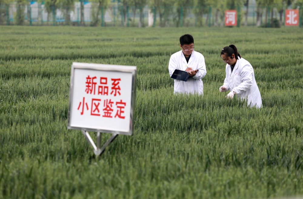 
北大口腔医院黄牛代挂号电话票贩子号贩子网上预约挂号,住院检查加快,镜观中国｜科技赋能中国农民的丰收年