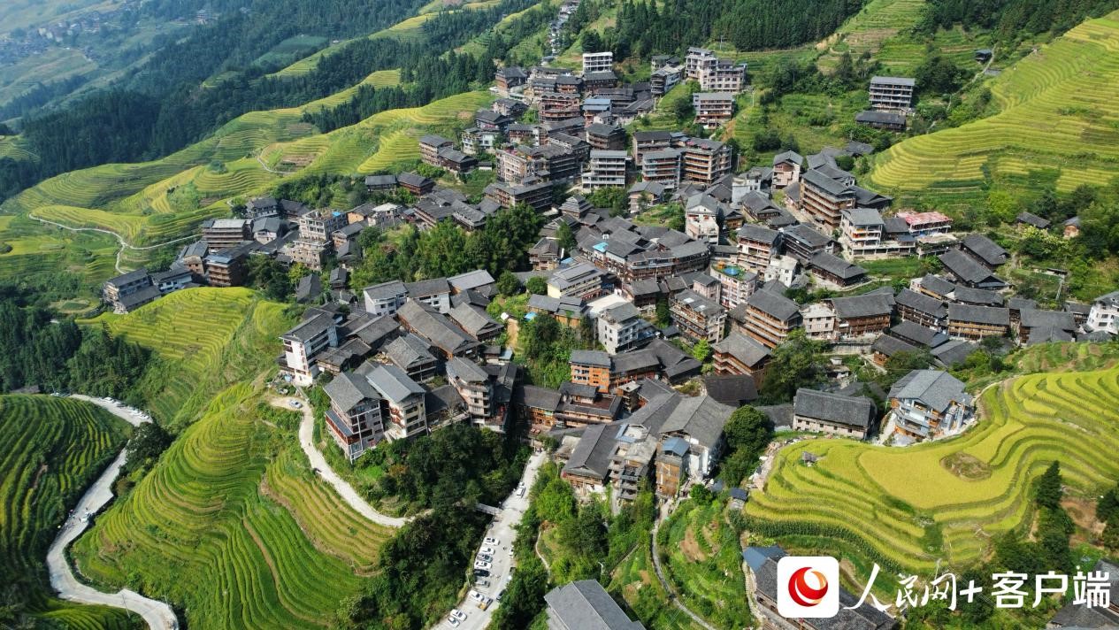 
天津肿瘤医院黄牛代挂号电话票贩子号贩子网上预约挂号,住院检查加快,【美丽中国·网络媒体生态行】广西龙胜：梯田画“丰”景