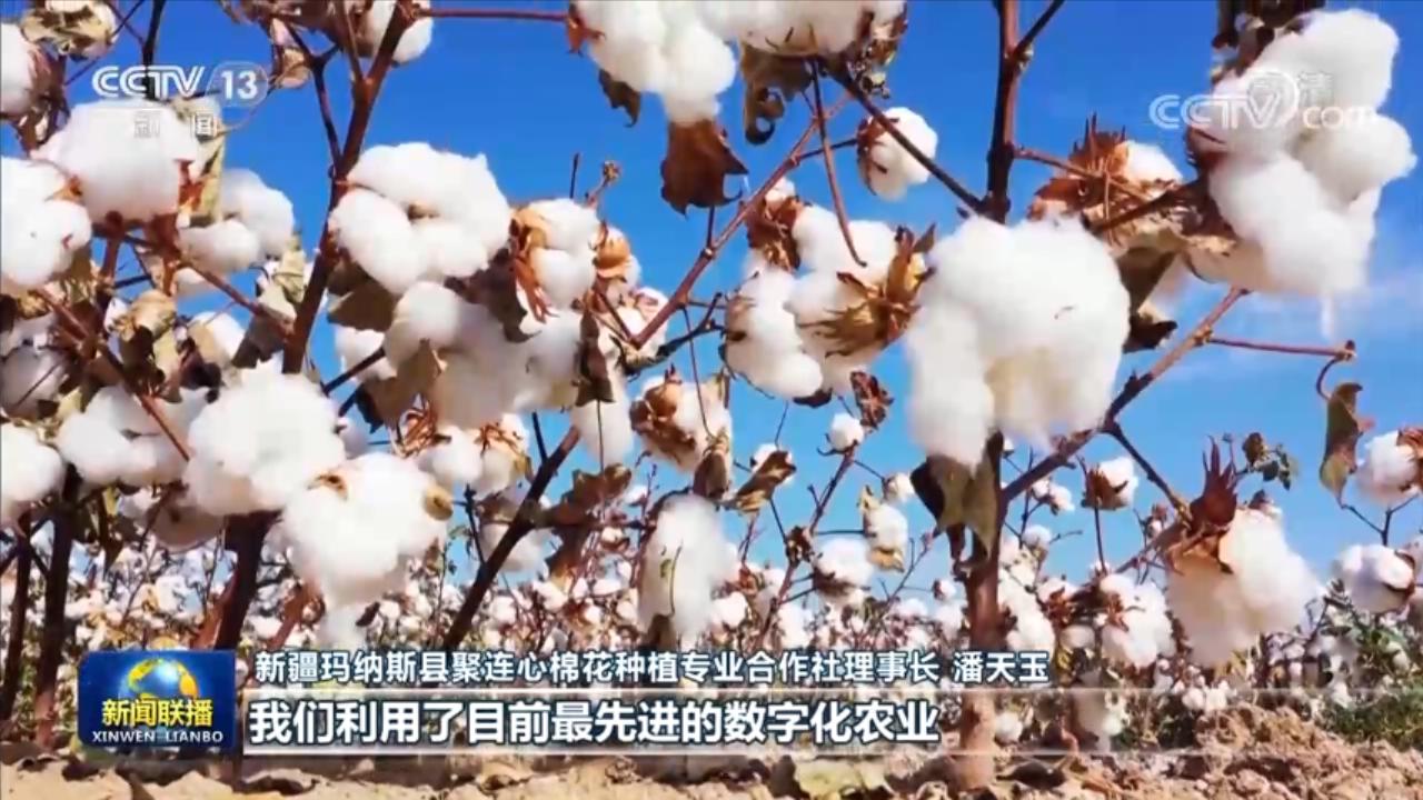 
中国中医科学院广安门医院黄牛代挂号电话票贩子号贩子网上预约挂号,住院检查加快,【在希望的田野上】稻菽飘香 各地丰收忙