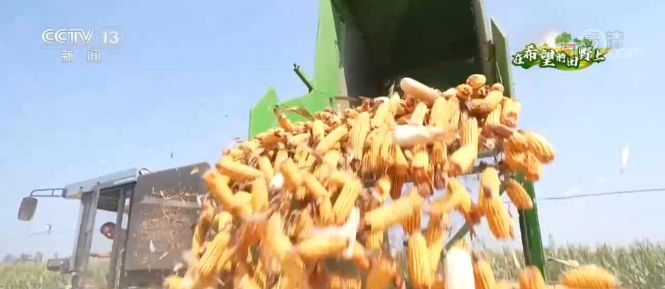 
天津眼科医院黄牛代挂号电话票贩子号贩子网上预约挂号,住院检查加快,在希望的田野上 | 大豆玉米复合种植 丰产效率高