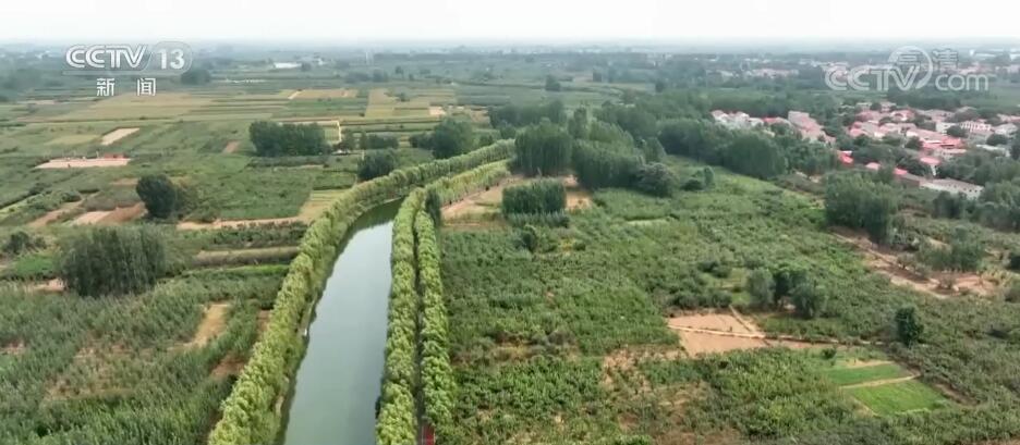 
北京中医院黄牛代挂号电话票贩子号贩子网上预约挂号,住院检查加快,在希望的田野上 | 20万亩梨园迎丰收 梨农尽享丰收喜悦
