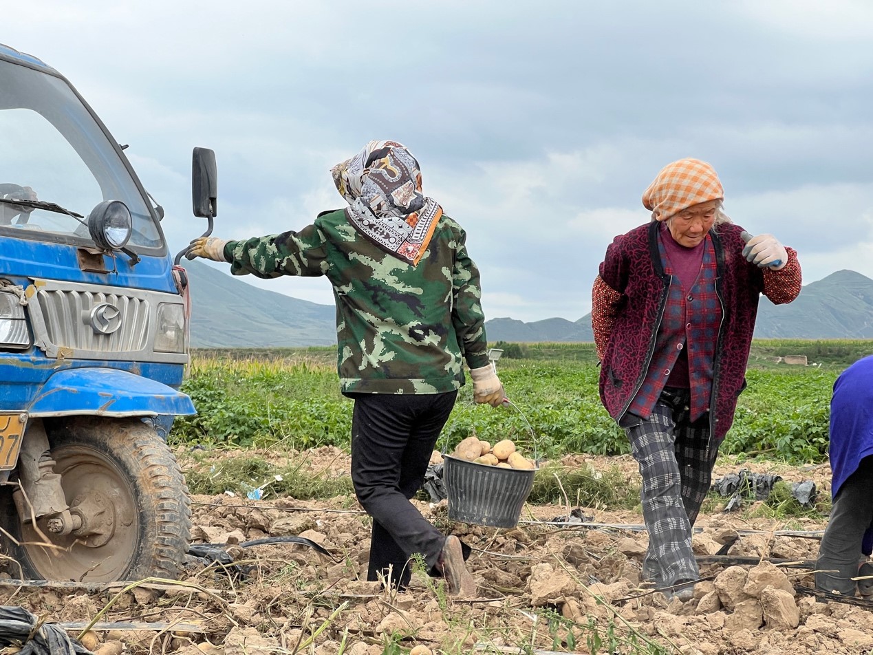 
杭州市一医院黄牛代挂号电话票贩子号贩子网上预约挂号,住院检查加快,丰收季丨李聚东和他的3.0版马铃薯