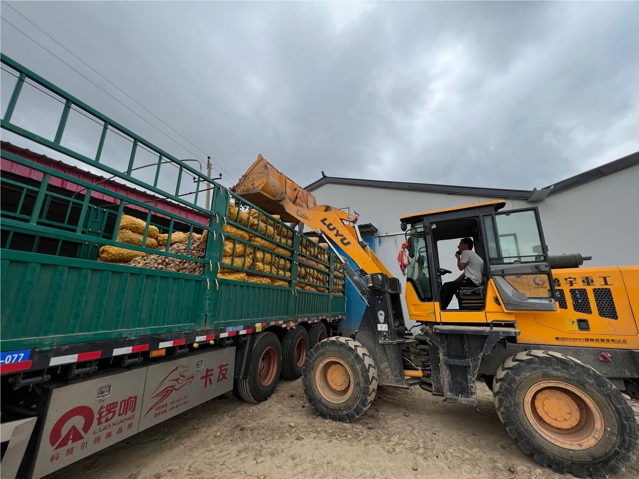 
杭州市一医院黄牛代挂号电话票贩子号贩子网上预约挂号,住院检查加快,丰收季丨李聚东和他的3.0版马铃薯