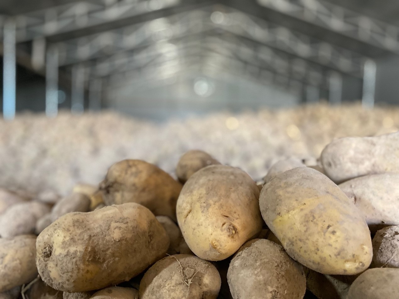 
杭州市一医院黄牛代挂号电话票贩子号贩子网上预约挂号,住院检查加快,丰收季丨李聚东和他的3.0版马铃薯