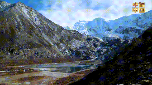 上海各大医院黄牛代挂号电话票贩子号贩子网上预约挂号,住院检查加快,坐标中国 | 世界最高光伏电站赋能绿色发展