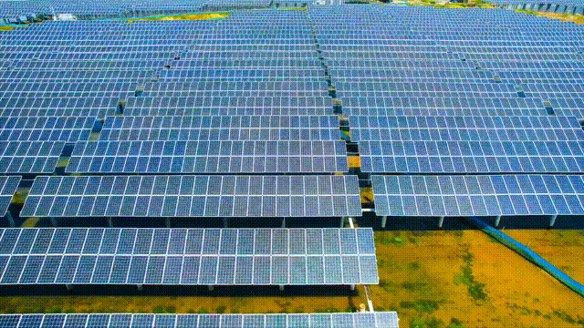 上海各大医院黄牛代挂号电话票贩子号贩子网上预约挂号,住院检查加快,坐标中国 | 世界最高光伏电站赋能绿色发展