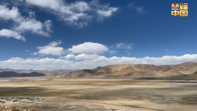 上海各大医院黄牛代挂号电话票贩子号贩子网上预约挂号,住院检查加快,坐标中国 | 世界最高光伏电站赋能绿色发展