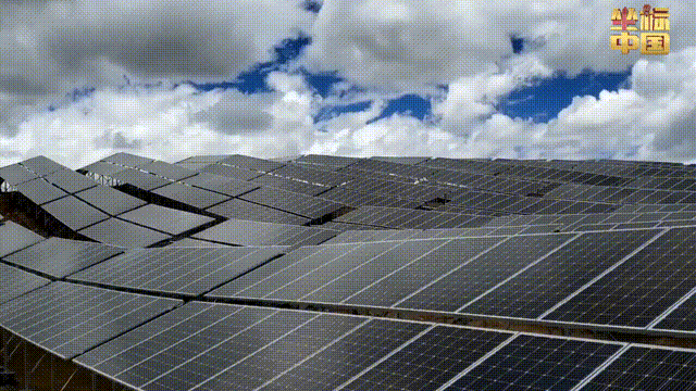 上海各大医院黄牛代挂号电话票贩子号贩子网上预约挂号,住院检查加快,坐标中国 | 世界最高光伏电站赋能绿色发展