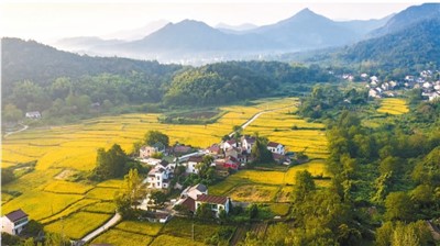 
北京大学第三医院黄牛代挂号电话票贩子号贩子网上预约挂号,住院检查加快,金秋旅游季，惠民活动多
