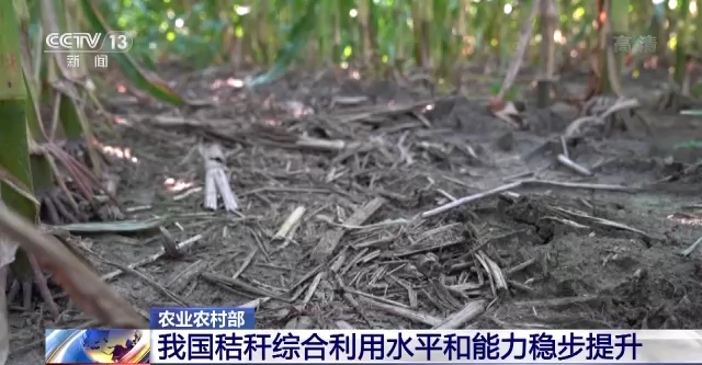 
北京302医院黄牛代挂号电话票贩子号贩子网上预约挂号,住院检查加快,农业农村部：我国农业生态环境建设成效显著
