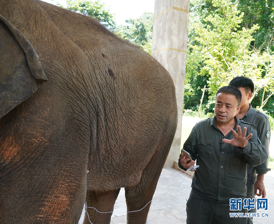 
北京安贞医院黄牛挂号电话,住院检查加快听大象医生讲“开学第一课”