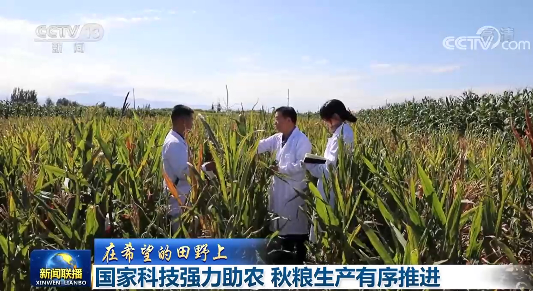 
南京各大医院挂号黄牛电话,住院检查加快【在希望的田野上】国家科技强力助农 秋粮生产有序推进