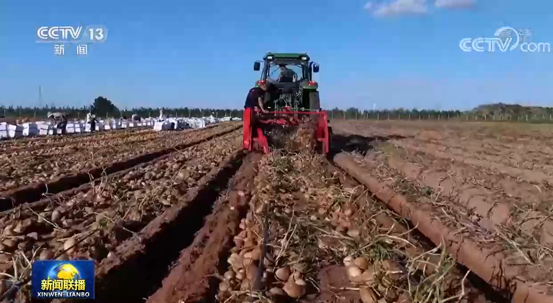 
南京各大医院挂号黄牛电话,住院检查加快【在希望的田野上】国家科技强力助农 秋粮生产有序推进