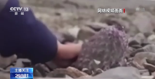 
东部战区总医院黄牛票贩子代挂号,住院检查加快流量至上催生猎奇式吃播，多管齐下如何刹住“吃奇”之风？