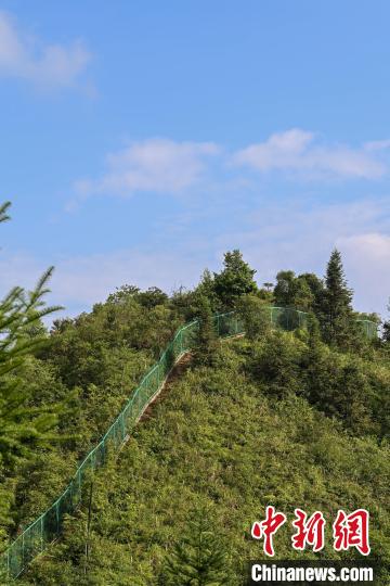 
空军特色医学中心挂号黄牛,住院检查加快【民族团结党旗红】广西哨长凌尚前：41年巡边守边护家园平安