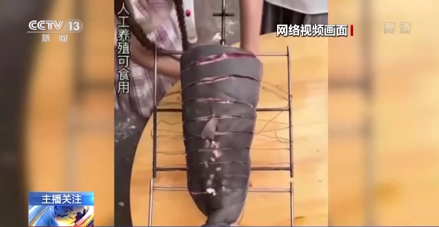 
东部战区总医院黄牛票贩子代挂号,住院检查加快流量至上催生猎奇式吃播，多管齐下如何刹住“吃奇”之风？