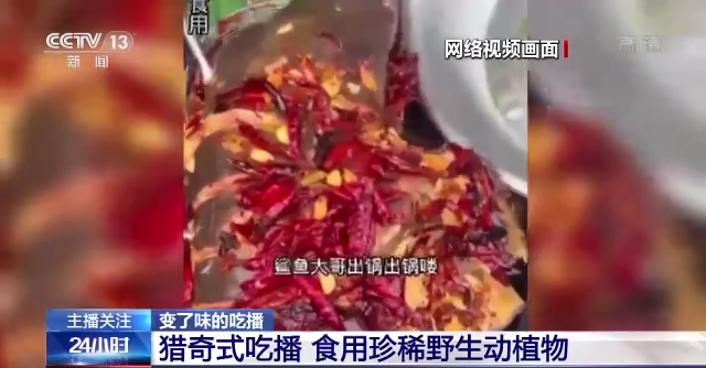 
东部战区总医院黄牛票贩子代挂号,住院检查加快流量至上催生猎奇式吃播，多管齐下如何刹住“吃奇”之风？