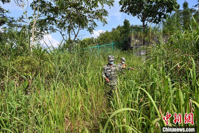 
空军特色医学中心挂号黄牛,住院检查加快【民族团结党旗红】广西哨长凌尚前：41年巡边守边护家园平安